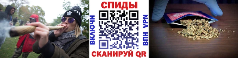 Бутират буратино  Отрадная 