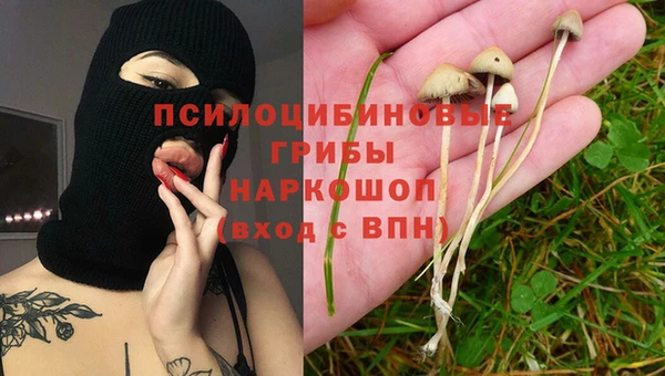 прущая мука Алексин