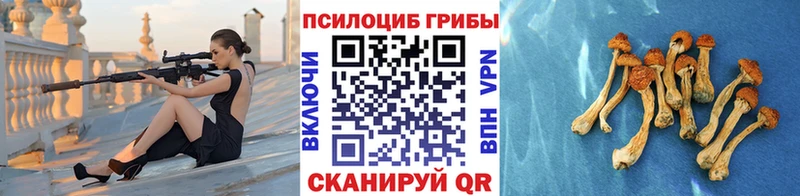 Галлюциногенные грибы GOLDEN TEACHER  ОМГ ОМГ ссылка  Отрадная 